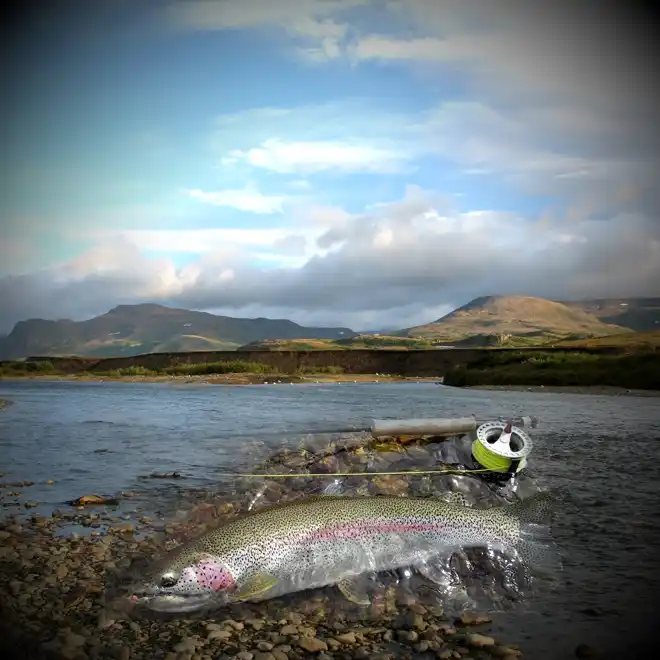Moraine Creek scenic wilderness view and trophy rainbow trout float fishing in Katmai Alaska